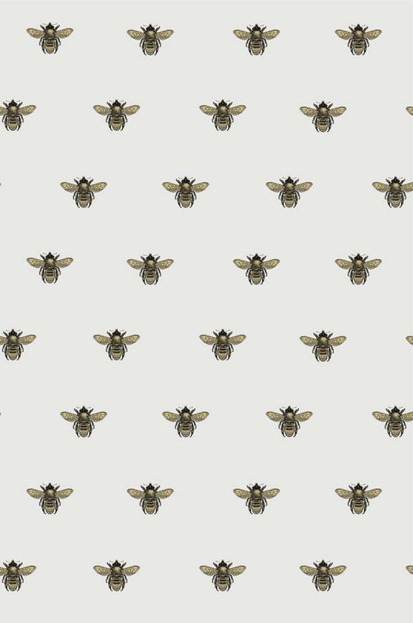 Honey Bee Black & Gold on Powder Grey | Timorous Beasties Wallcovering