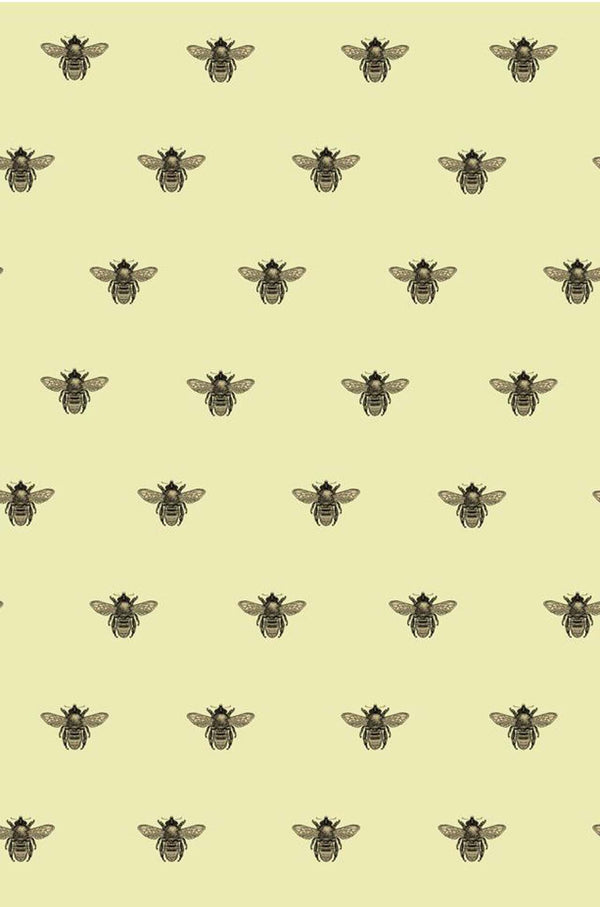 Honey Bee Black & Gold on Primrose | Timorous Beasties Wallcovering