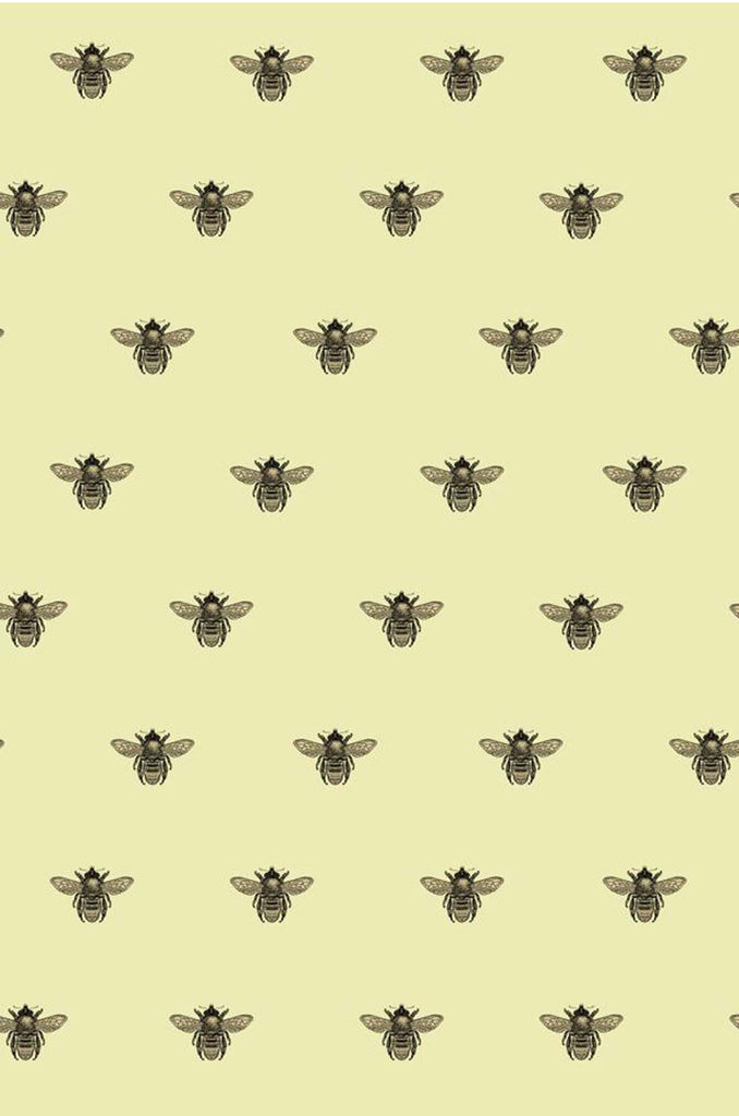 Honey Bee Black & Gold on Primrose