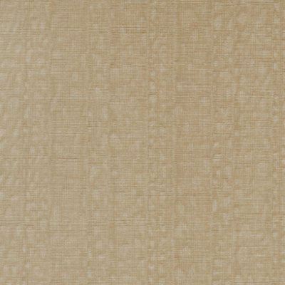 Illusive Leopard - Beige Commercial Wallcovering | Koroseal