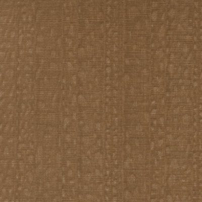Illusive Tiger - Tan Commercial Wallcovering | Koroseal