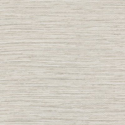 Interloom Coconut Beige - Beige Commercial Wallcovering | Koroseal