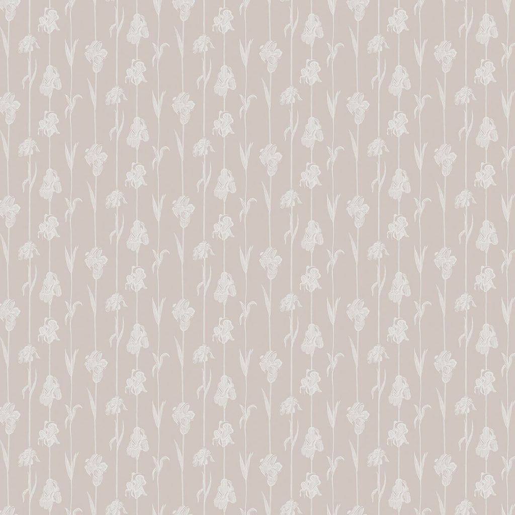 Corola Rosa, Roll Vinyl