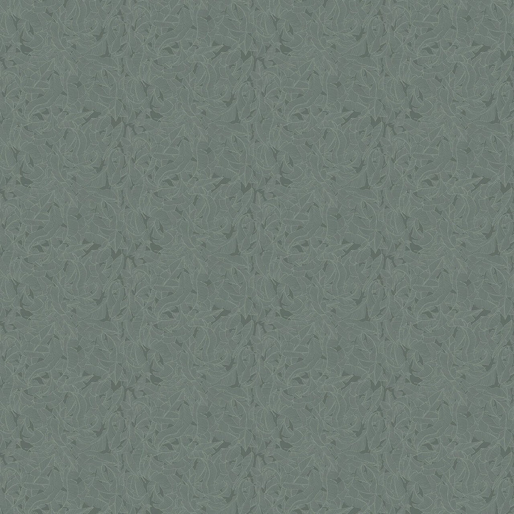 Tardor Verde, Roll Vinyl