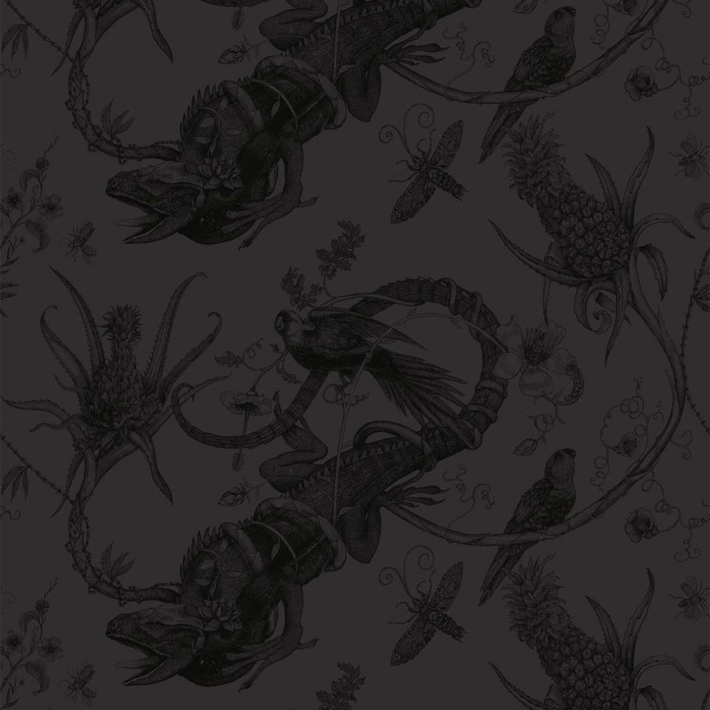 Iguana Superwide Black on Black