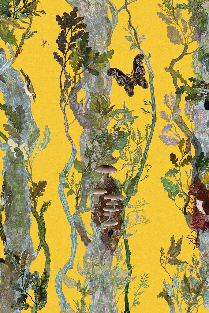 Indie Wood Cadmium