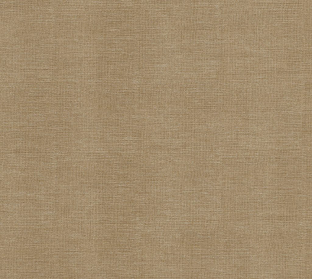 Infatuation - Broadcloth | Commercial Fabric | Los Angeles Fabrics
