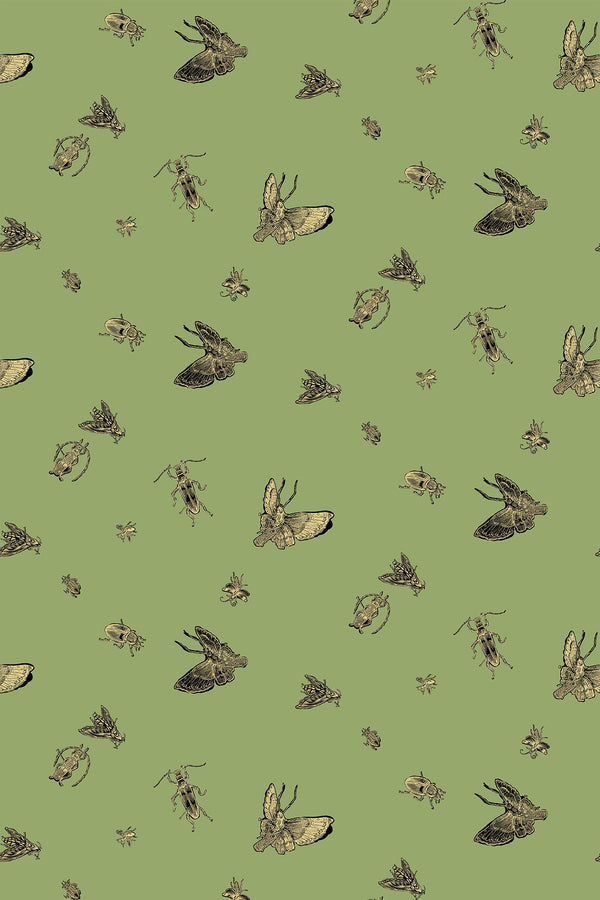 Insect - Hand Printed Gold & Black on Kingsburgh | Timorous Beasties Wallcovering