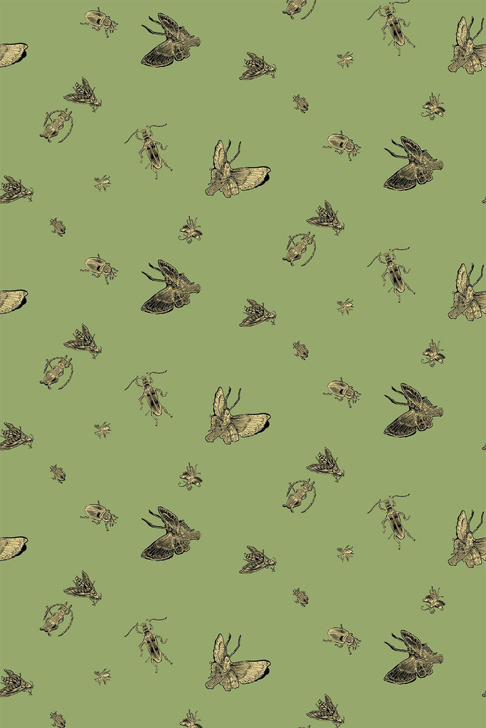 Insect - Hand Printed Gold & Black on Kingsburgh