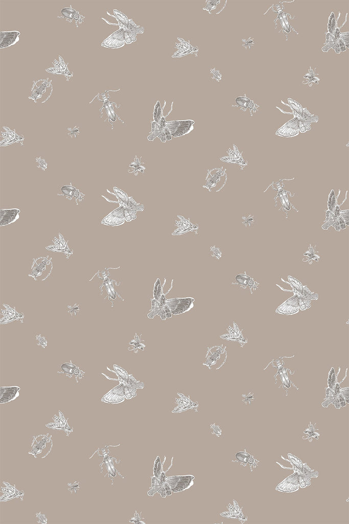 Insect - Hand Printed Beige & White on Stone