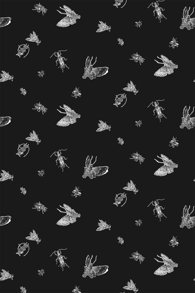 Insect - Hand Printed White & Black on