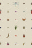 Insect Grid Antique