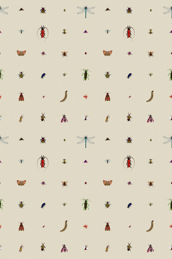 Insect Grid Antique | Timorous Beasties Wallcovering