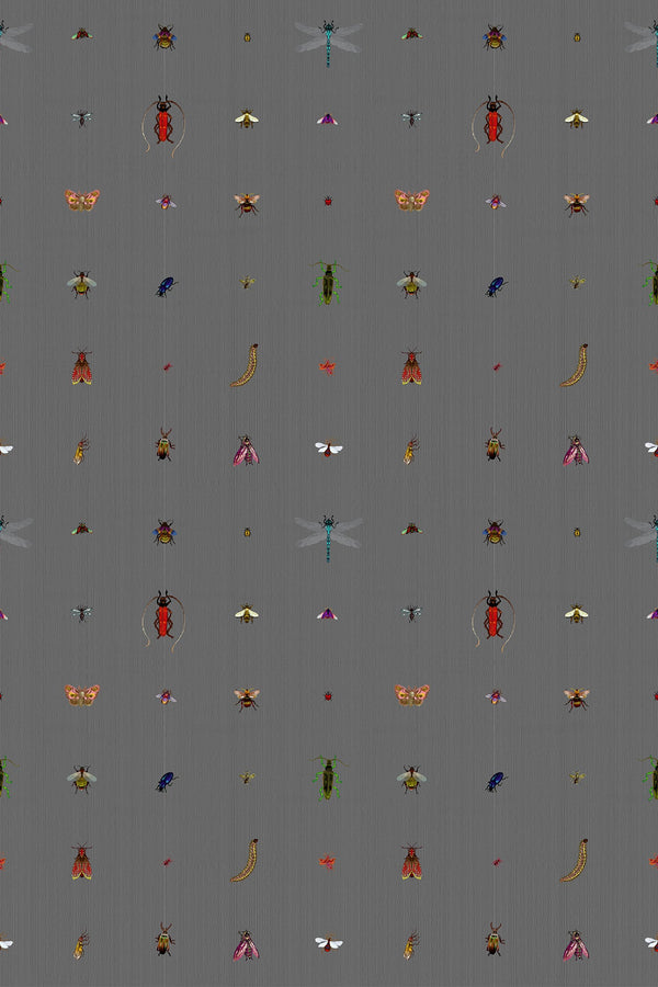 Insect Grid Charcoal | Timorous Beasties Wallcovering