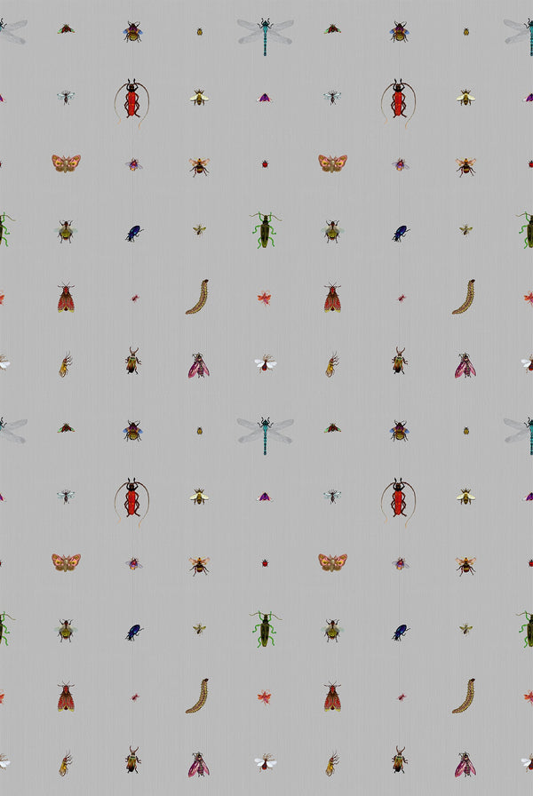 Insect Grid Grey | Timorous Beasties Wallcovering