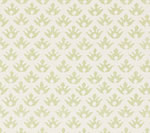 Isabella Neutral, French Green on Light Tint