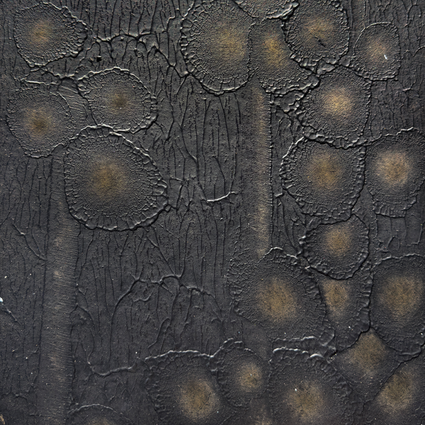 Isidium Cetraria Wallcovering | Vahallan
