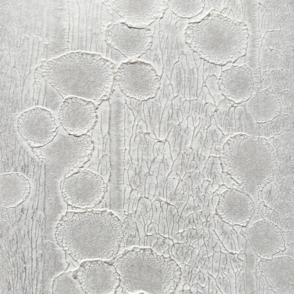 Isidium Evernia Wallcovering | Vahallan