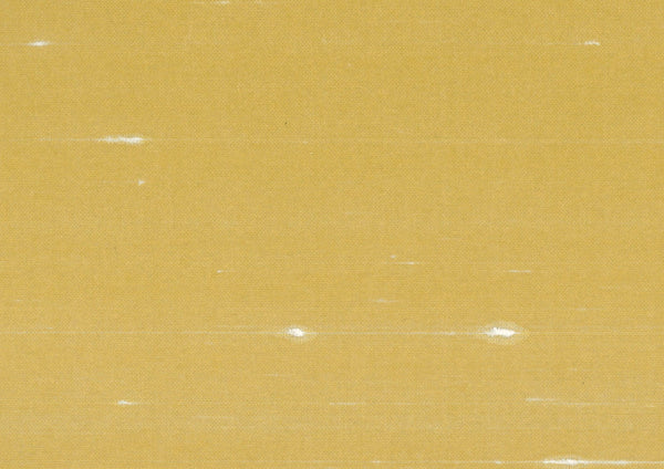 Minori Amber | Fentucci Naturals