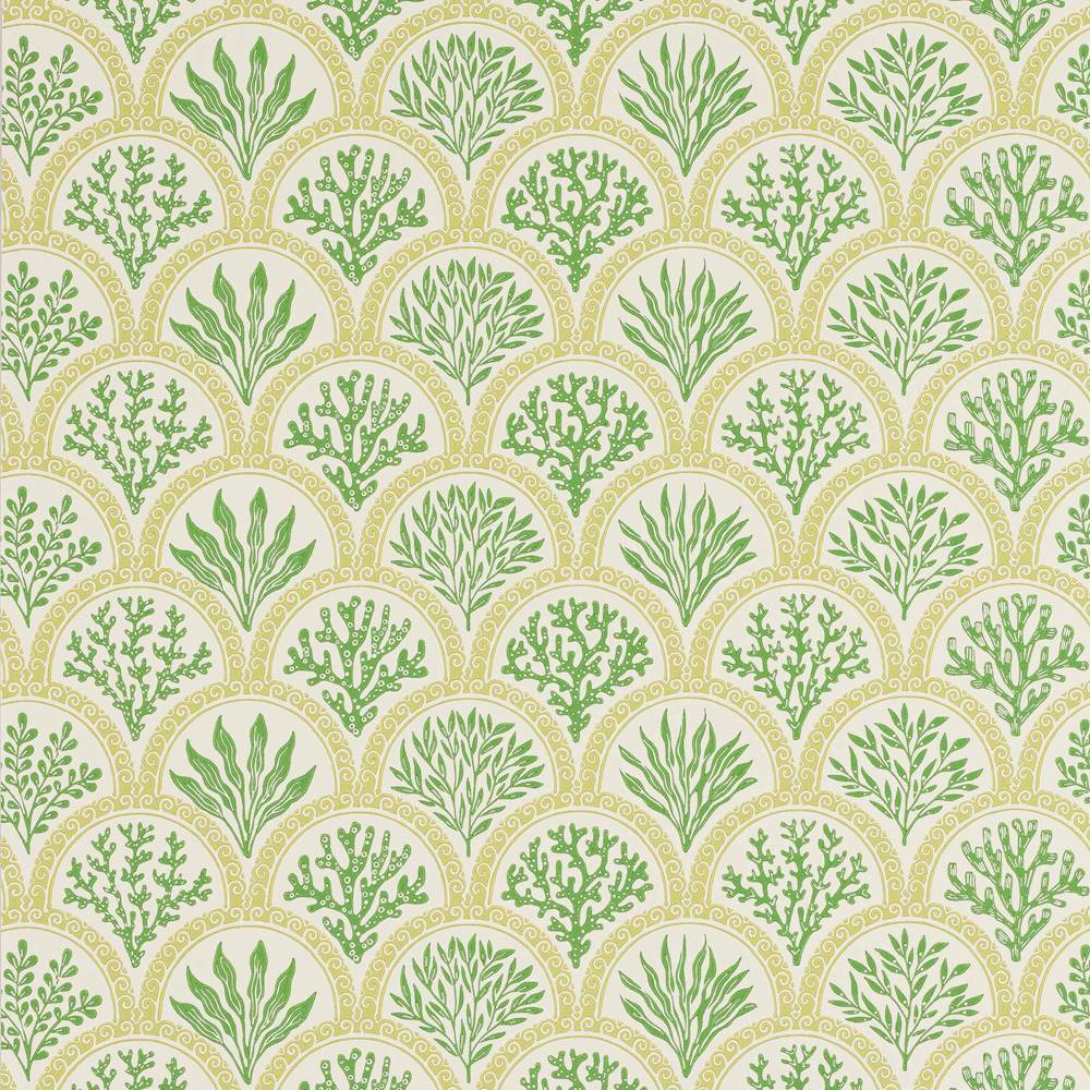 Coralli Wallpaper  | Jane Churchill
