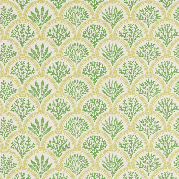 Coralli Wallpaper  | Jane Churchill