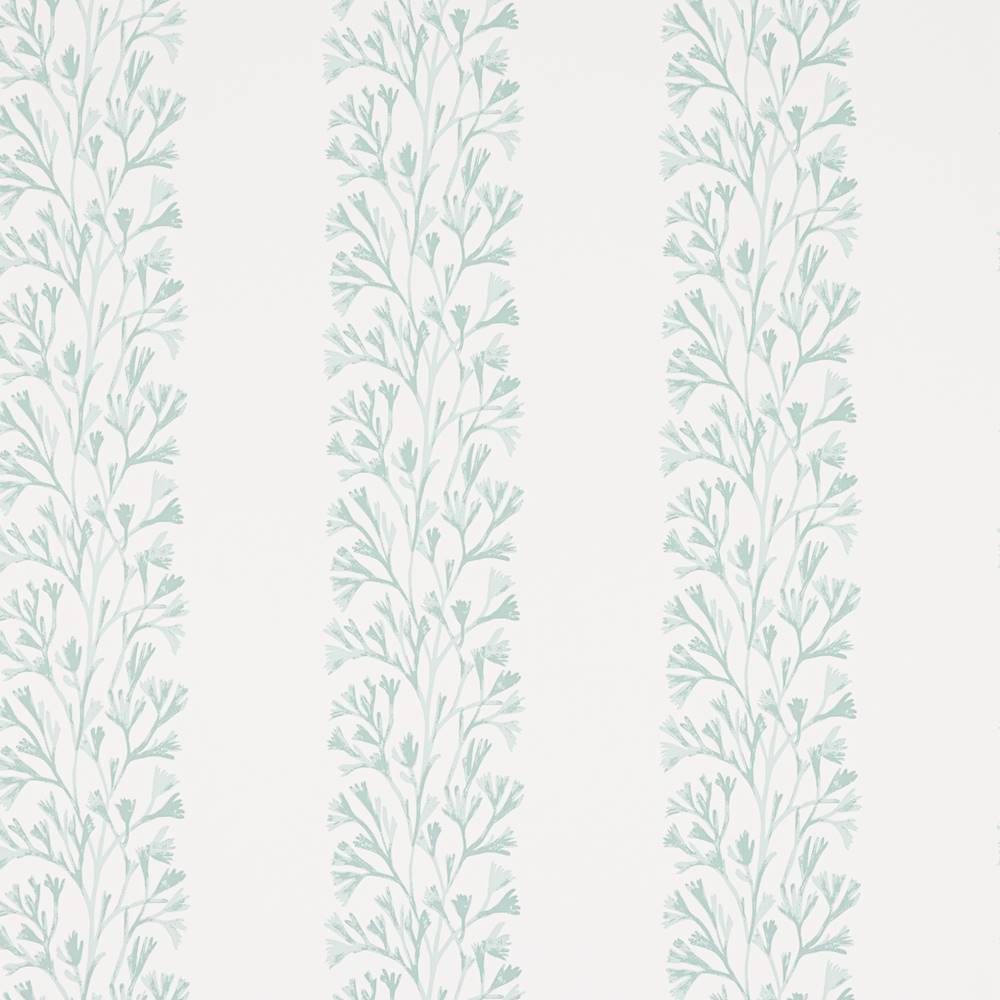 Dita Wallpaper  | Jane Churchill