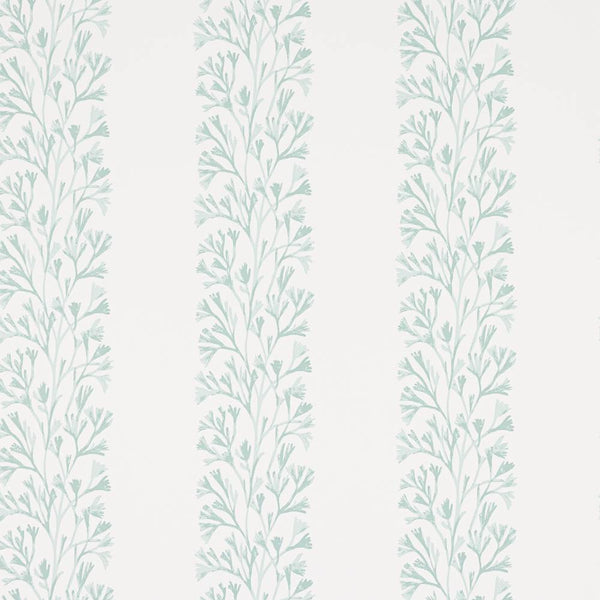 Dita Wallpaper  | Jane Churchill