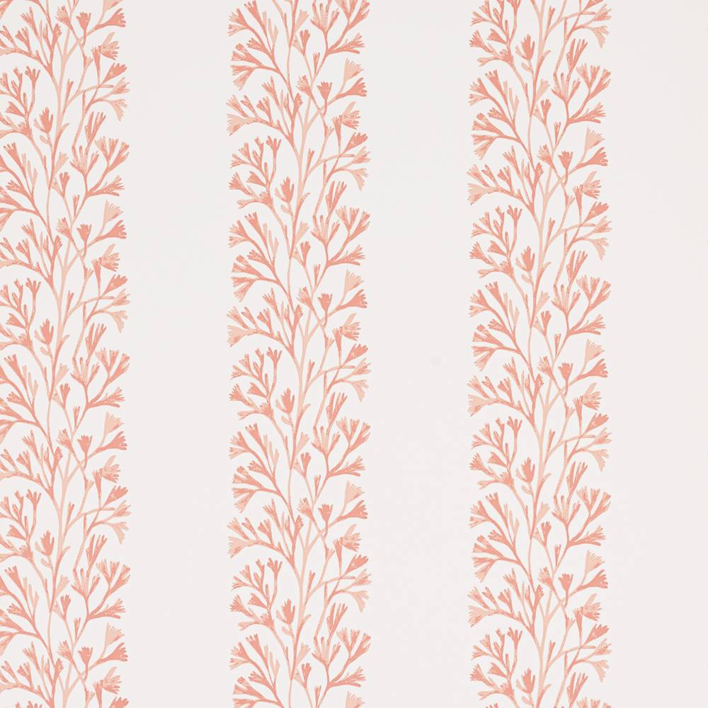 Dita Wallpaper  | Jane Churchill