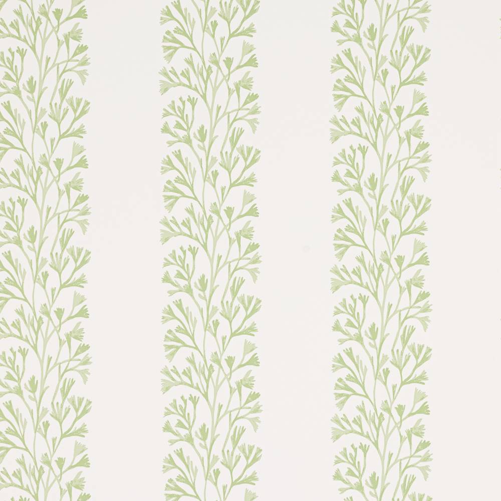 Dita Wallpaper  | Jane Churchill