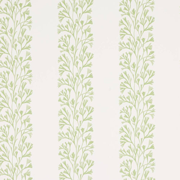 Dita Wallpaper  | Jane Churchill