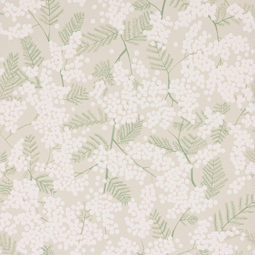Mimosa Wallpaper  | Jane Churchill