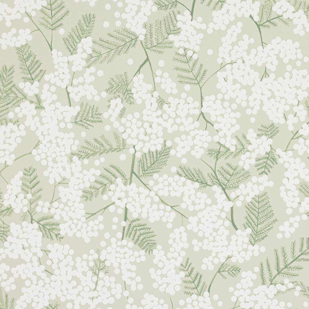 Mimosa Wallpaper  | Jane Churchill
