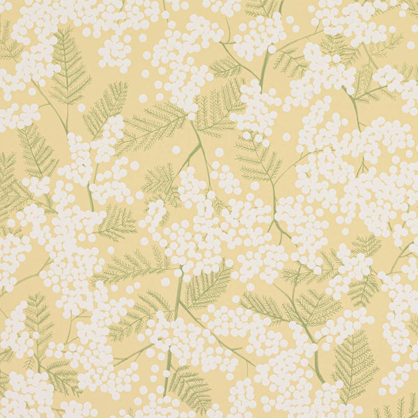 Mimosa Wallpaper  | Jane Churchill