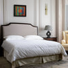 Chromatic Architecture Vivid in Bedroom Setting