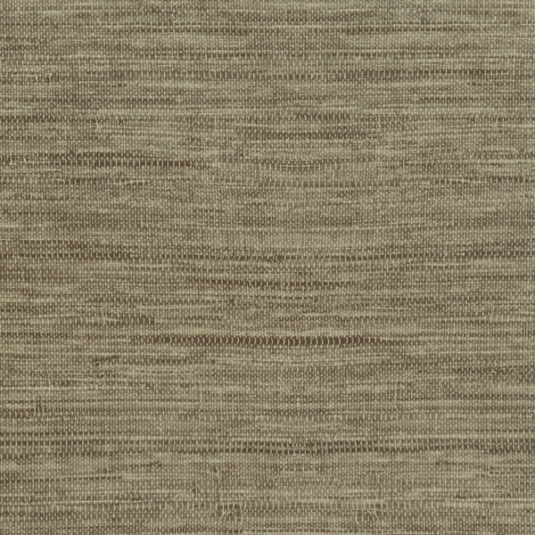La Gregorio Bronze Type 2 | Phillipe Romano