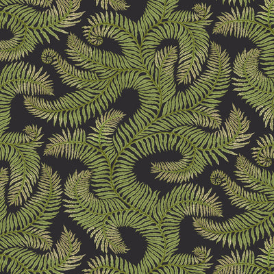 Bombes Fernery - 1 Charcoal | Kravet Couture | Josephine Munsey Portfolio I | Botanical & Floral Wallcovering Print