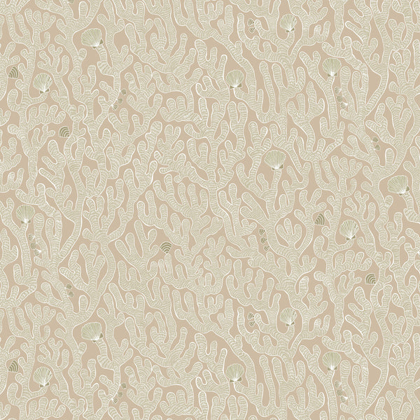 Coral - 11 Beige | Kravet Couture | Josephine Munsey Portfolio Ii | Novelty Wallcovering Print