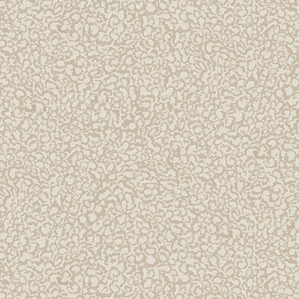 Clouds - 21 Beige | Kravet Couture | Josephine Munsey Portfolio Ii | Novelty Wallcovering Print