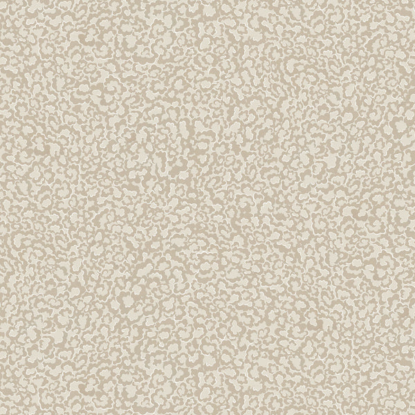 Clouds - 21 Beige | Kravet Couture | Josephine Munsey Portfolio Ii | Novelty Wallcovering Print