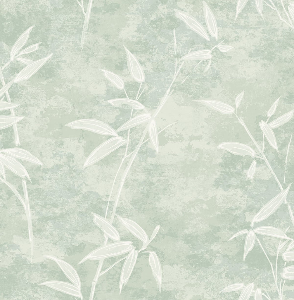 Fentucci Honshu Bamboo Wallpaper - Rustic Botanical - Seafoam | Malibu Wallpaper