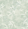 Fentucci Honshu Bamboo Wallpaper - Rustic Botanical - Seafoam | Malibu Wallpaper
