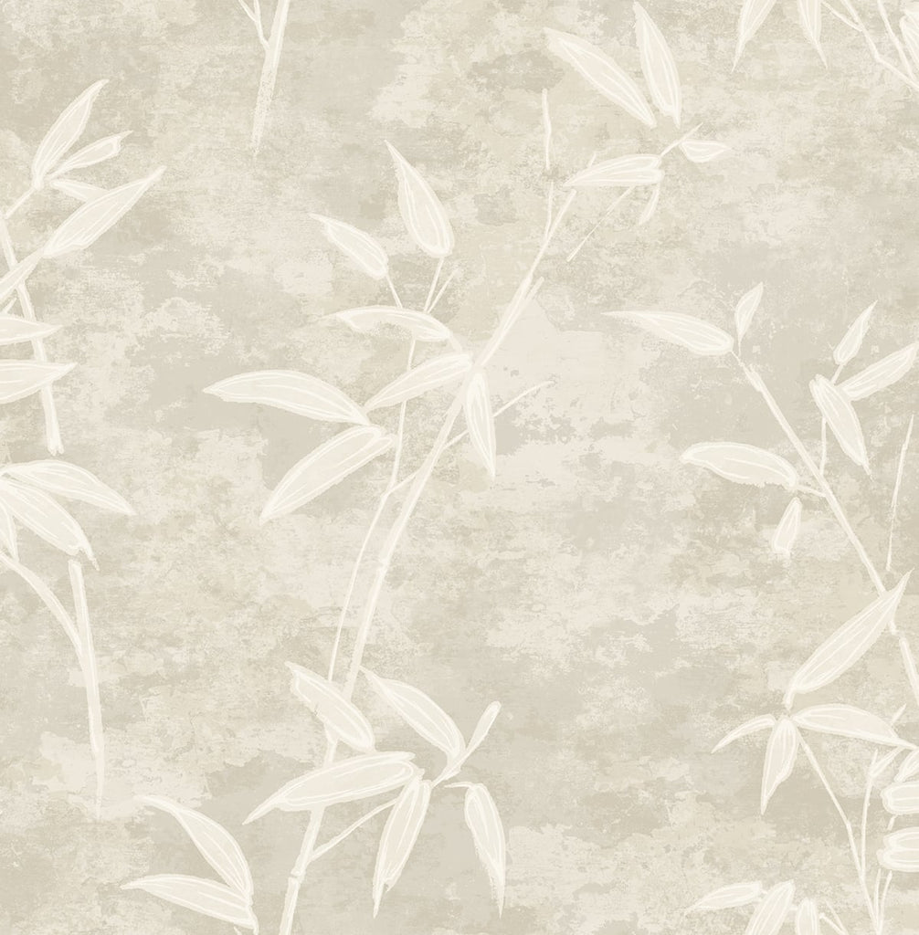 Fentucci Honshu Bamboo Wallpaper - Rustic Botanical - Warm | Malibu Wallpaper
