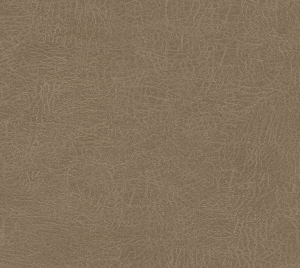 Jacinto - Dusty Trails | Commercial Fabric | Los Angeles Fabrics