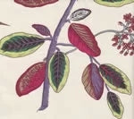 Jardin Des Plantes Print, Multi