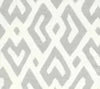 Pale Gray on Tint