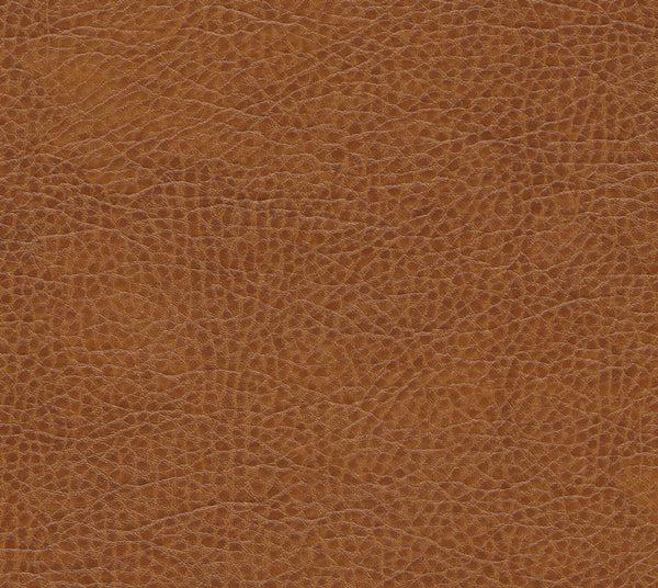 Julian - Fiddlestick | Commercial Fabric | Los Angeles Fabrics