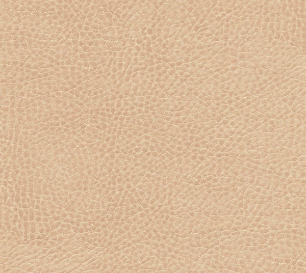 Julian - Rattler | Commercial Fabric | Los Angeles Fabrics