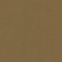 Kaloong - Wheat Vegan Leather | Phillipe Romano