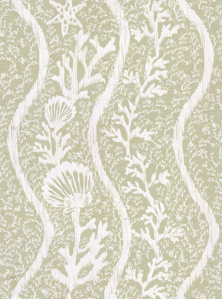 Koralion Seacrest Wallpaper | Mind The Gap