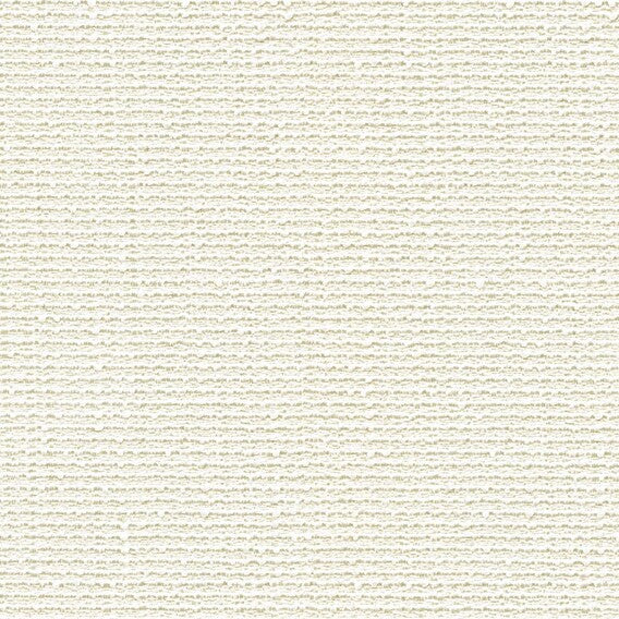 Arena White Cap | Knoll